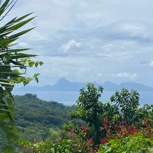 Meet your Posher, Robin